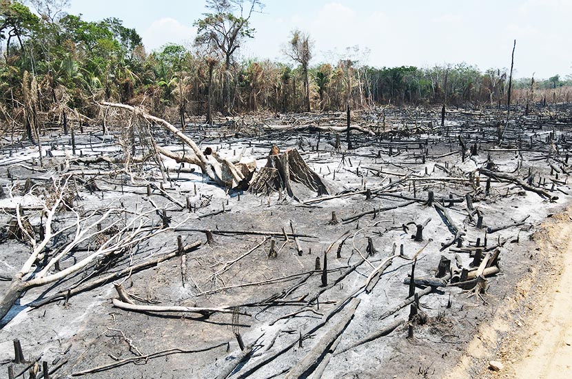 Pódcast la Voz de la Amazonia – Incendios