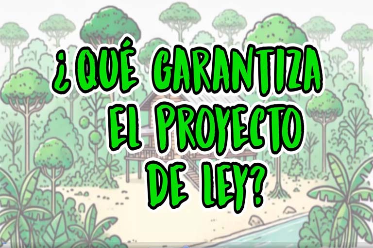 Video: ¿Qué garantiza el proyecto de ley Bruno Racua?