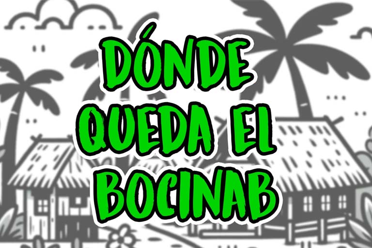 Video: ¿Dónde queda el BOCINAB?