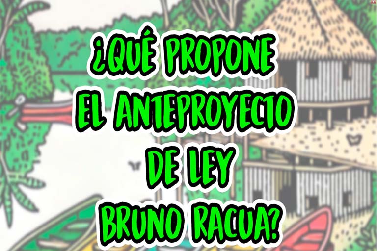 Video: ¿Qué promueve el anteproyecto de ley Bruno Racua?