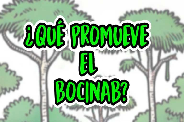 Video: ¿Qué promueve el BOCINAB?