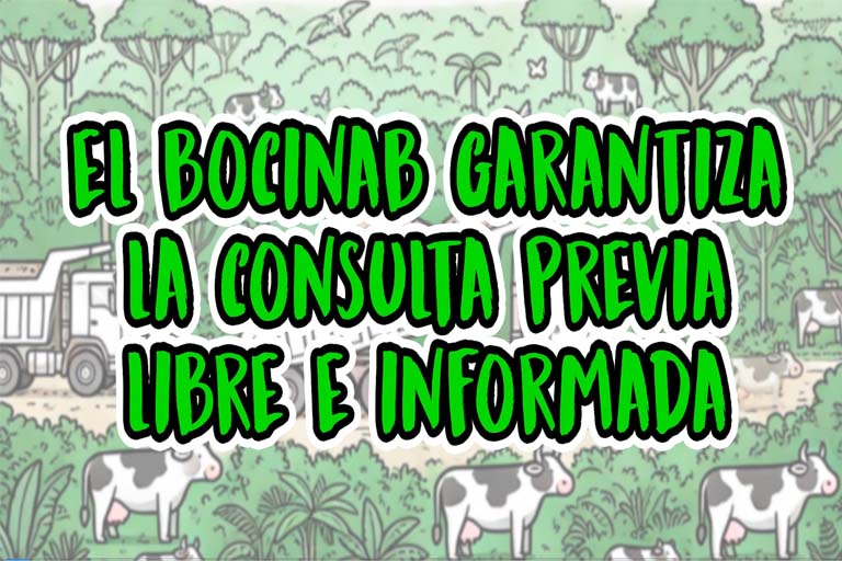 Video: El BOCINAB garantiza la consulta previa, libre e informada