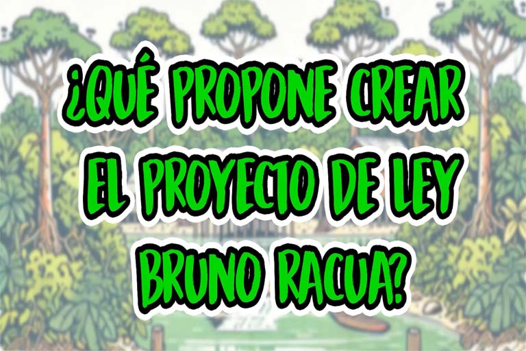 Video: ¿Qué propone el anteproyecto de ley Bruno Racua?